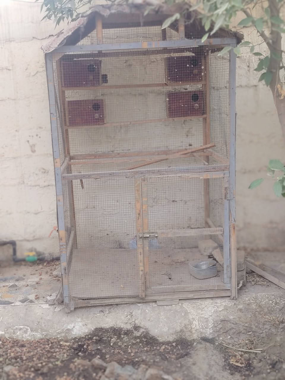 قفص دجاج وقفص مال طيور للبيع مكاني بابل


**إذا كنت صاحب هذا الإعلان وتريد حذفه لأي سبب، رجاءا أرسل رسالة إلى الدعم الفني**