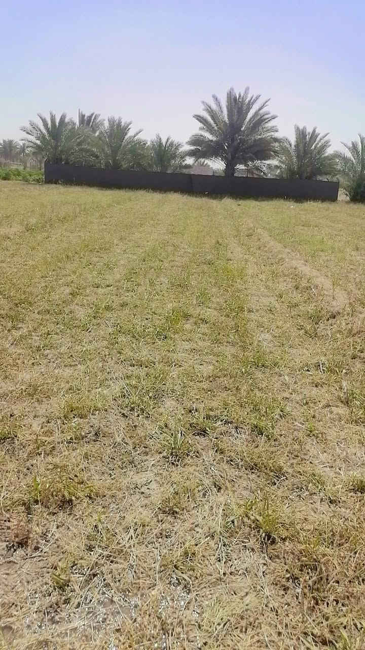 ٠سلام عليكم ورحمة الله دونم ونص  لبيع بابل جبله فراع مصلخ ثاني قطعه مقابيل حي جواد  عن مشروع٨٠٠ متر يعني ٥دقايق بسوك ماء نهر ١٥ متر عن خزان سكي ١٠ متره عن رساله  ٣٠ متر عنه كهرباء ٤٠ متر عنه مولد حي ١٠٠ عن كافات الخدمات لاستفسار *********** و*********** و ***********
