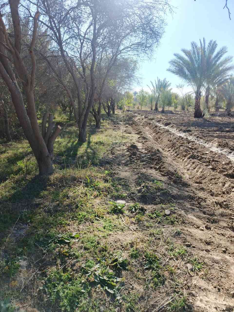 سلام عليكم للبيع م 600 متر كلش حلووه كاع سند 25 تحويل مباشر بسم المشتري تبعد عن تبليط 100 بغداد الراشدية قرية العراكنة تبعد عن ناحية ربع ساعة وعن شارع العام طريق بغداد كركوك كيلو كهرباء ماء سقي ماء اساله تصلح سكن او مزرعه السعر 35 وبي مجال ***********
