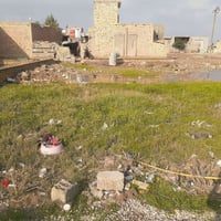 بل شطيب • قطع زراعية • ٢٥٠م