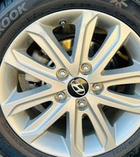 تخم ويل عندي للبيع قيم وخذ. 07732327696