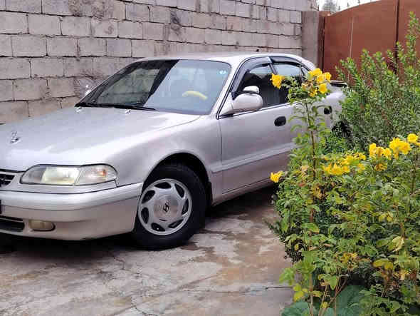 سوناتا تو 1993 رقم بغداد انكليزي. سنوية 2030 بسمي شخصيآ. 

كير اوتو +. محرك مفتوح حاوية شرط كفالة 

صدر أمامي خلفي. ب الجيس.  شادى شرط طسة. ماكو حديث. 

تخم تاير +.  السبير جدد 

 ويل كب بلادي 

كهربائيات من الدعامية لدعامية كلة كفالة بلادي شرط كلوب. ماكو نقص 

شاشة وكامرة وسستم سماعات. جدد 

لايت زنون 

كشنات. + ارضية جلد. دوشمة درجة أولا. 

تبريد. منضومة كاملة من الطول لطول كلة جديد شرط. ثلج. 

تتفئة شغالة. 

سنتر لك ريموند. 

باتري جدد اصلي. كوري. 

سيارة مسوي. الهة إدامة كاملة. من منضومة البانزين ل الكهرباء نص. نكرة سلف.  ترايك للبصرة شرط 160 ✈️

سيارة. مال جناي. وجاهزة ومابيهة كل نقص.  بس. ستر الله 

صبغ. عام للجمالية بدون ضربة وكص وتبديل. 

مكاني ديالى.  دلي عباس 

السعر 55  ‏

ضض‪***********‬‏. رقمي
