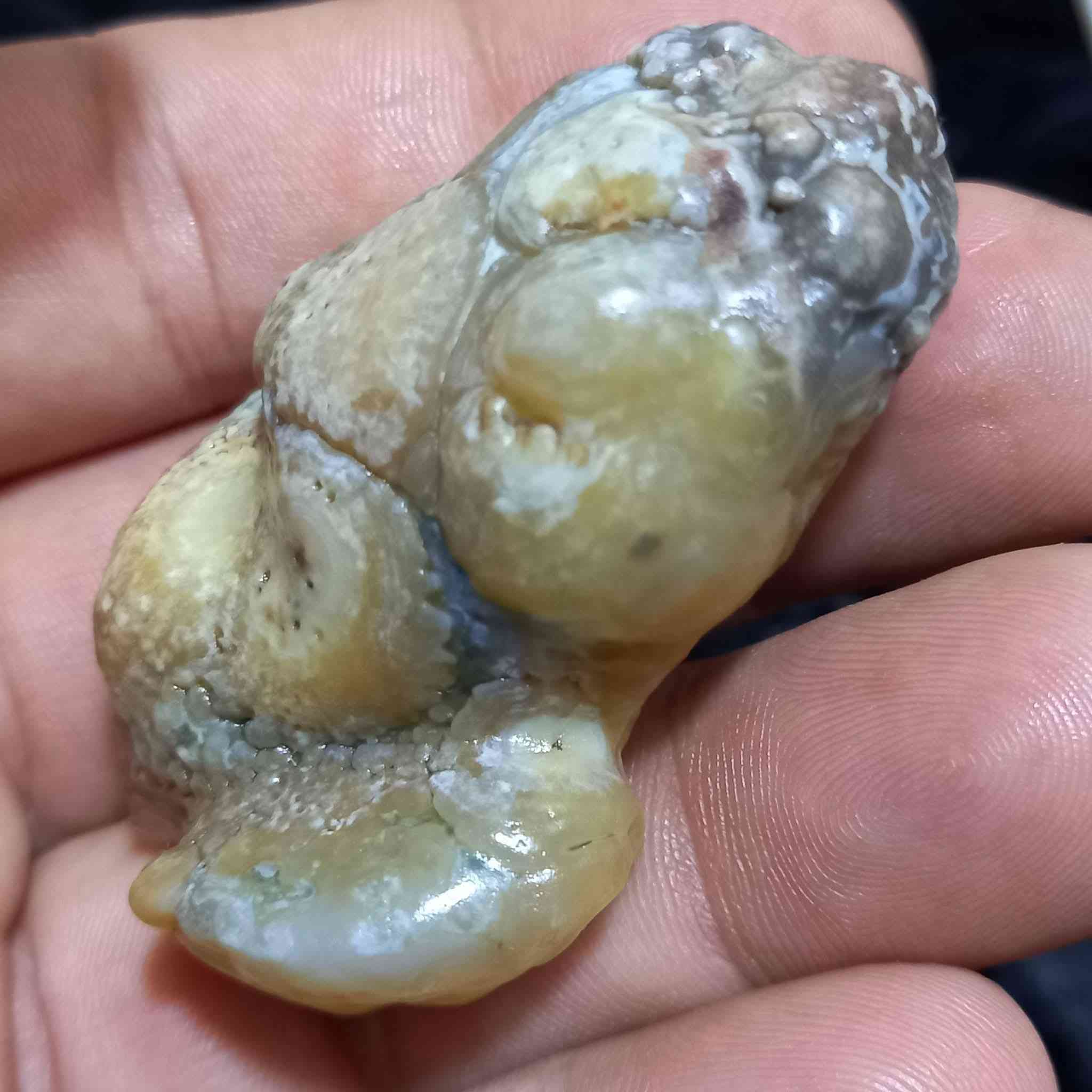 🐉 حجرة زوعة الحية الاصلي قطعة خامة ممجروخة خشنة وقديمة حيل وهاي صورها وين ما تردون شوفوها العنوان بغداد الأمين يوجد خدمة توصيل كافة المحافظات اي أستفسار أو سؤال واتساب او الاتصال بالرقم 
***********
