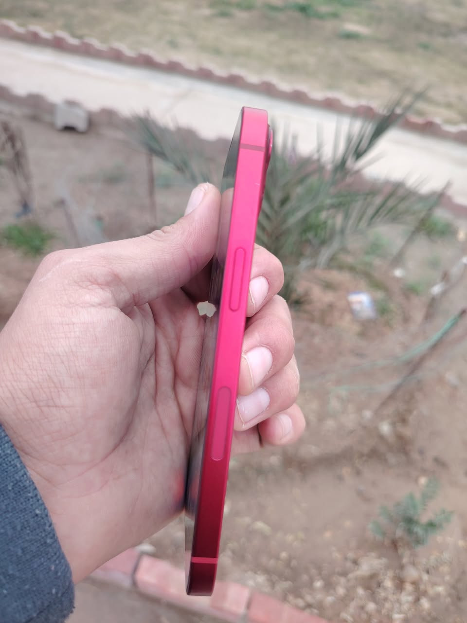 13 عادي ذاكره 128 بطاريه 100 معلايه العنوان بعقوبه.سعر 385 ***********
