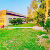 بابل • مزرعة ١١ دوانم • طابو زراعي