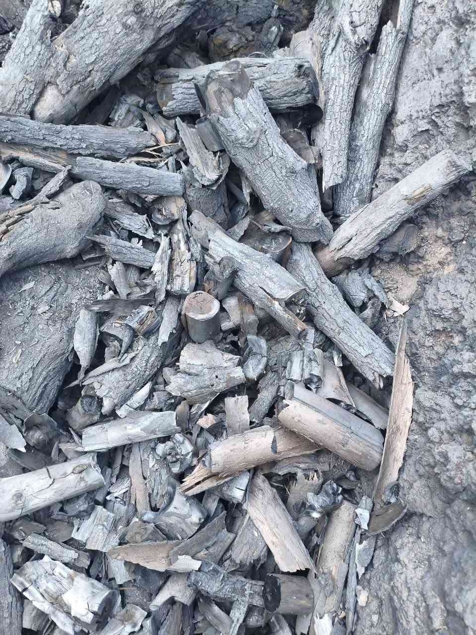 السلام عليكم 
فحم للبيع موجود كميه فحم نضيف وخشن 
اتصل ***********
