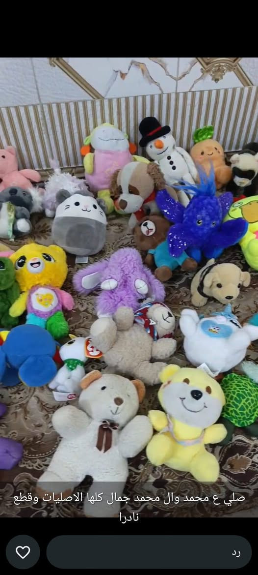 جمال الألعاب لتجنن قطع مميزات ونادراً


**إذا كنت صاحب هذا الإعلان وتريد حذفه لأي سبب، رجاءا أرسل رسالة إلى الدعم الفني**