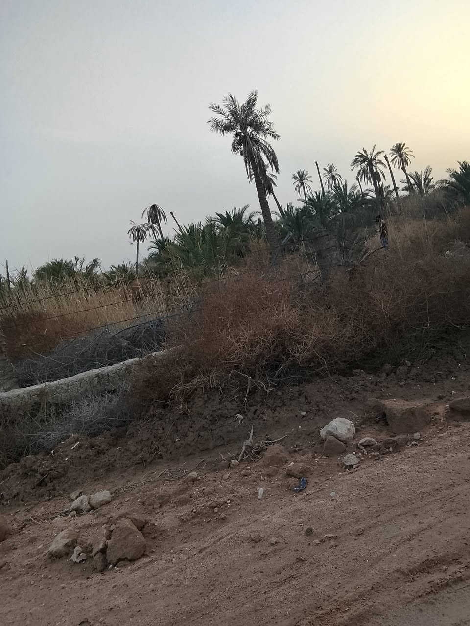 متوفر لدينا بستان دونم ونصف طابو صرف زراعي أصولي 100% ، جميع الخدمات متوفرة ،ماء،كهرباء، شارع 10 متر قيد التبليط ،مدرسة قيد الانشاء 
السعر/ 160 مليون . 
العنوان/ ابي الخصيب/ باب طويل / قرب جسر ابو فلوس 
للاستفسار/ ***********
