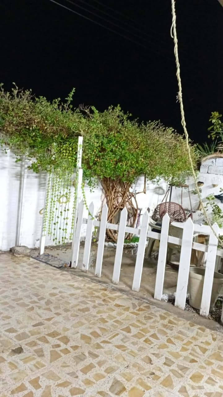 بسعر ٤٨ مليون دار المساحة ٢٠٠ متر طابو زراعي سند ٢٥ بناء جيد جدا الموقع اكسيرات شارع شلاكة للاستفسار الاتصال على الرقم *********** او مراجعة مكتب الديار شارع العلوة
