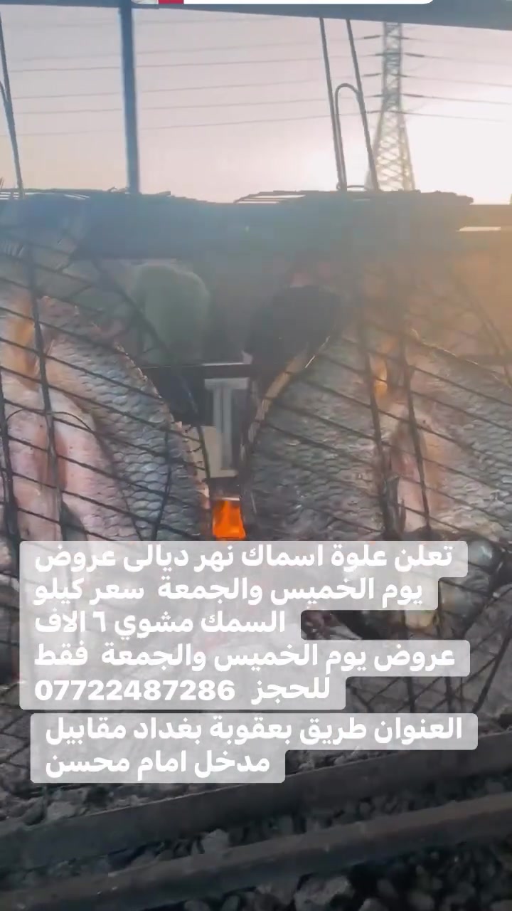علوة اسماك نهر ديالى 
عروض يوم الخميس والجمعة فقط
سعر كيلو السمك مع شوي ٦ الف دينار فقط 
العنوان طريق بعقوبة بغداد مقابيل مدخل امام محسن
***********
