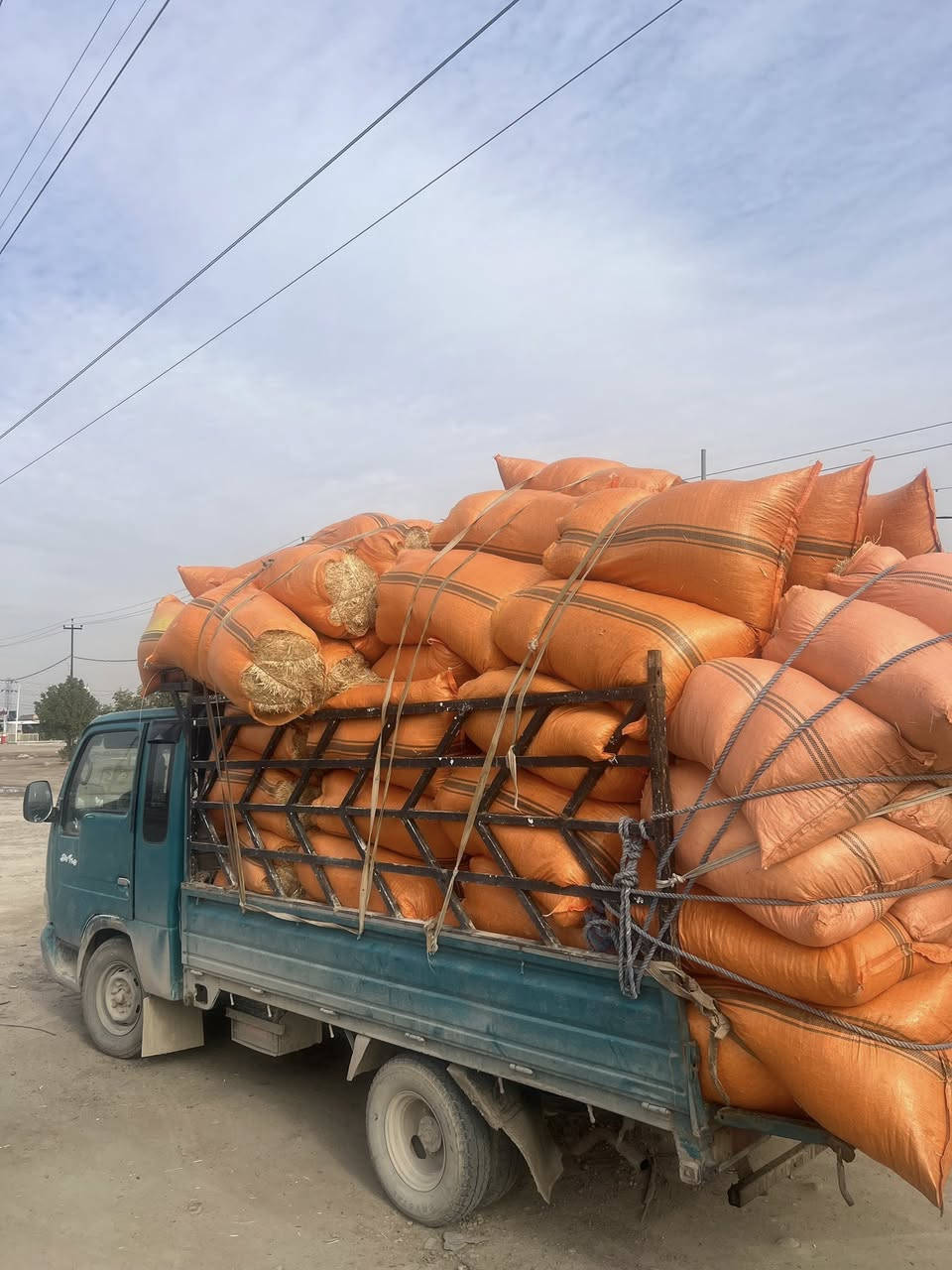 تبن درجة اوله البيع البيع سعر الزوج 400الاف يرهم ابقار او اغنام  درجه اولاله قرب ابو حمره تصال ***********
