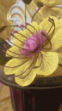 غرفه نوم عراقيه حطاطه تصميم تركي نضافه فول استخدام قليل جدا السعر 900بي مجال العنوان  البعبيد الاتصال ***********
