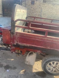 ستوته ١٢ • أوراق كاملة • بدون عموله