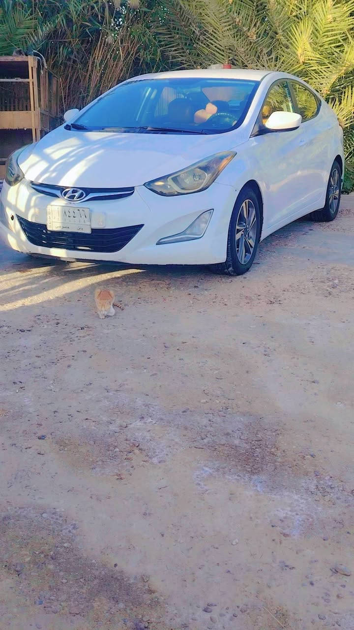 سلام عليكم معوقين  راعيها متوفي،متوفي  النتره ١٦  امريكي داخله فقط دعاميه اماميه نفسها سياره جديده معاملتها كامله هزه وغرامات وتجديد سنويه معامله كامله باقيه بس بصمه  ابو السنويه رقم بابل مشروع وطني ابيع بدون تحويل اكفلها سرقه وعشاير
سعرها 85 عنوان بابل مشروع المسيب
*********** اللا استفسار
ابيع بدون تحويل راعيها متوفي
