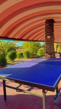 مزرعه بيت اهلنا 07740419944 دونمين الدوره البوعيثه قرب المجزره عدد الا...