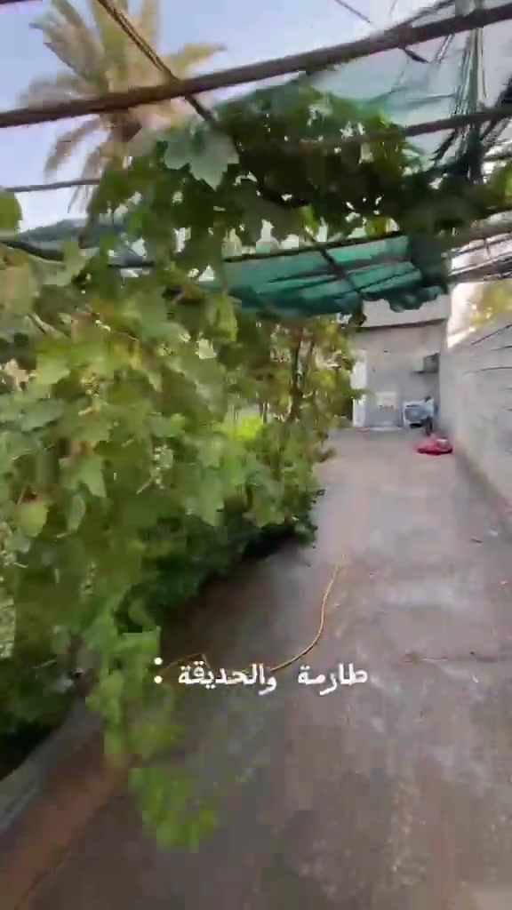 بيت زراعي للبيع 410م علوة الفحل قرب صيدلية هند طابقين ط١ غرفتين وصالة واستقبال ومطبخ حار وبارد ط٢غرفتين وصالة ومطبخ وصحيات مع درج معزول حديقة ١٥٠م 90 مليون وبي مجال  للاستفسار ***********
