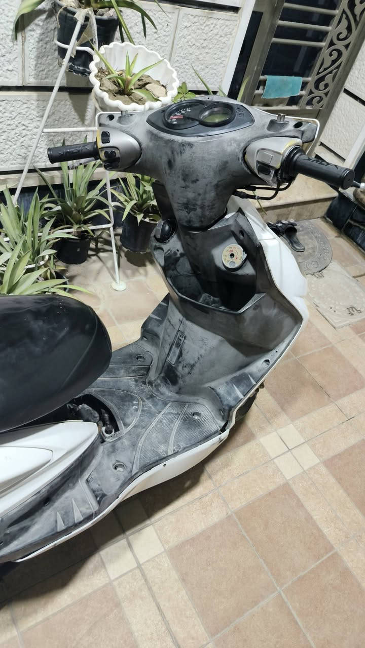 سكنس فحل ياباني قبق نفخ ستاند حساس خطين دراجه خير من الله فقط دشبول مال سعره طافي باقي كهربائيات كلها شغاله نكره بكل وقت ب 8 صبح نص نكره تشتغل كفرات و مكينة بلاديه كلها من طول لطول سعر 650 بي مجال حك الجيه بسيط مكاني بغداد الدوره


**إذا كنت صاحب هذا الإعلان وتريد حذفه لأي سبب، رجاءا أرسل رسالة إلى الدعم الفني**