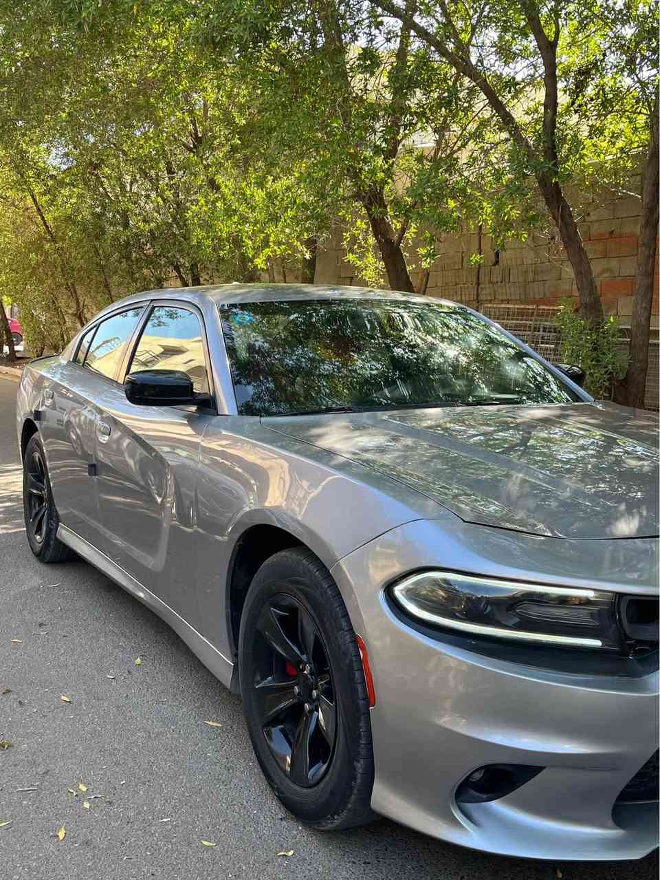 بيع او مراوس 
*********** 📞
🚘 دوج جارجر    
▪️ محرك  v6 3600  
▪️ رقم: بغداد بسمي  
✨ المواصفات:
▫️ كشن جلد + كهرباء 
▫️ قطعتين تبريد 
▫️شفتات  
▫️ شاشة جبيرة  
▫️ تحكمات ستيرن
▫️ بصمه تشغيل 
▫️لايت زنون+ لد نهاري  

( ملاحضه السياره بيها 4 قطع صبغ وبنيد مبدل اصلي بدون صبغ + تعمير بلغد   )

📍 الموقع: بغداد - السيدية بغداد, العراق
