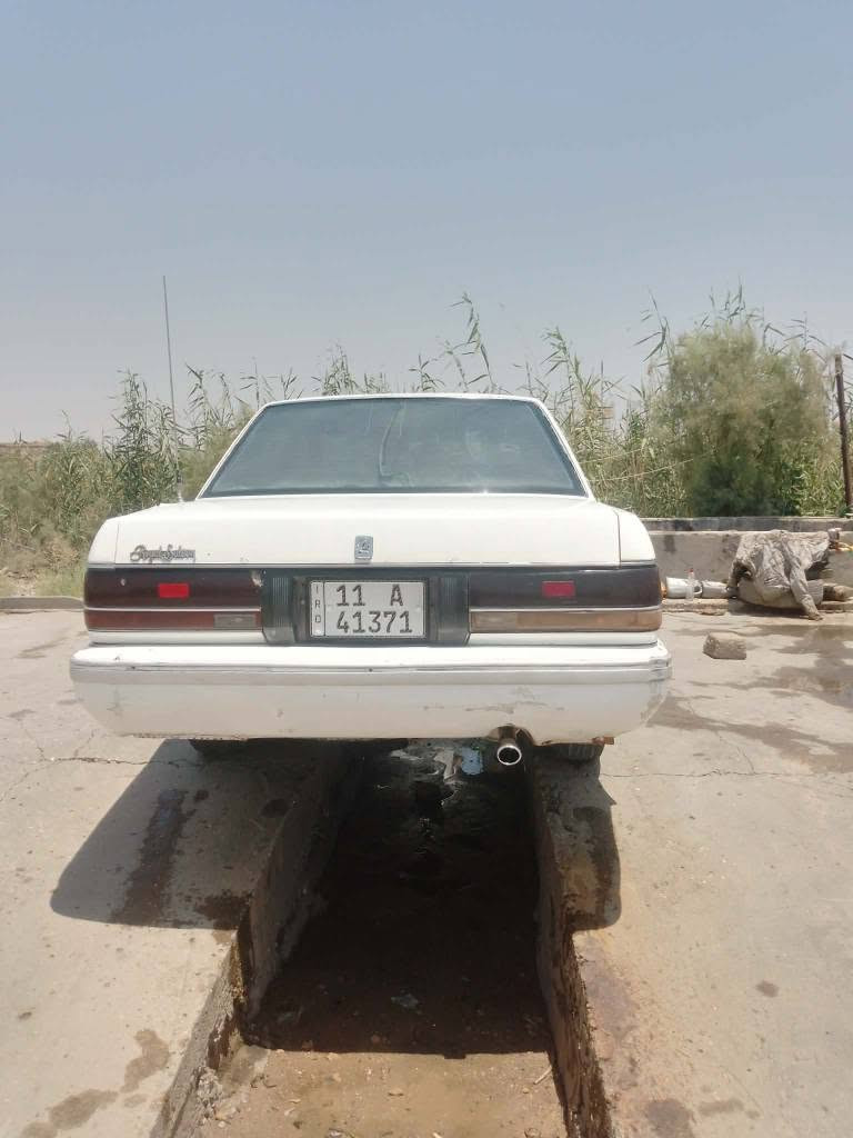 السلام عليكم سيدان أيسر بلاد مكينة ثنين ونص جديدة  رقم بغداد إنگليزي سنوية مجددة لغاية 2031 تخم تاير جديد باتري جديد اكسل جديد حدادية جديدة جعمقة ستيرن جديدة كهربائيات عامة شغالة دواخل نظيفة السيارة مصبوغة عام مكفولة كص ونقل جثة وعيب شرعي وأصوليات 
بيع أو مراوس سعر ((40$))
العنوان ناصرية ـ سوق الشيوخ
*********** ناصرية, ذي قار
