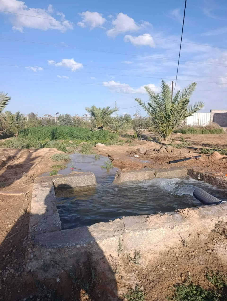 السلام عليكم مزرعه
للبيع المساحه 2 دونم

طريق نجف كربلاء عمود 285

جنس الأرض عقد

مزروع نخل 75 +رمان15+نبك 80 وبيهه بيت وجهاز تقطير كل النخل والنبك /وسياج بي ار سي السعر 85 /طريق يا علي  تبعد عن الشارع 700 متر فقط شراي يراسل على الخاص


**إذا كنت صاحب هذا الإعلان وتريد حذفه لأي سبب، رجاءا أرسل رسالة إلى الدعم الفني**