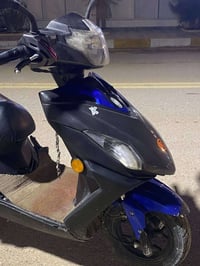 هاوجي موديل ٢٠بدون اوراق ٠٧٨٠٥٠١٦٩٧٩