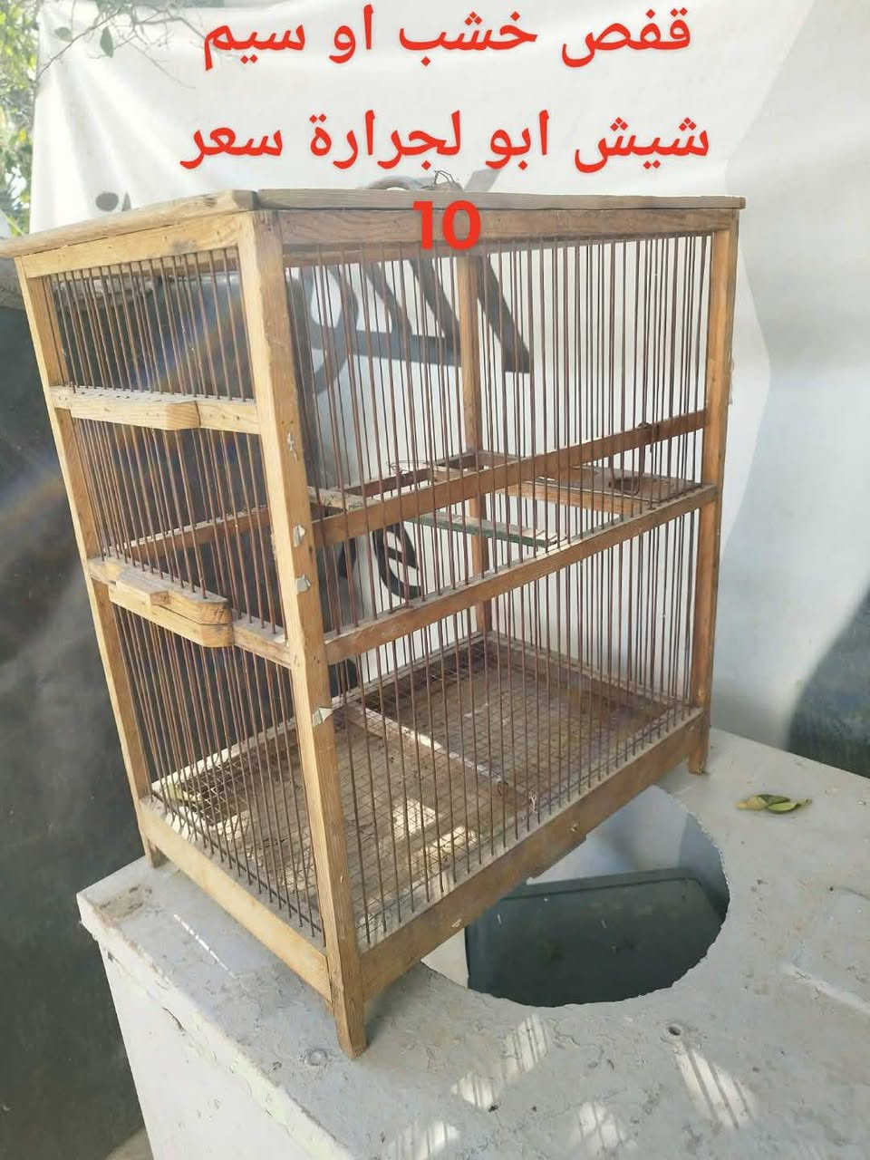 اقفاص كلهن نظيفات لسعر بل صور   وذا واحد ياخذهن شلع بيهن مجال بل سعر المكان فلوجة الازركيه    

***********

***********
