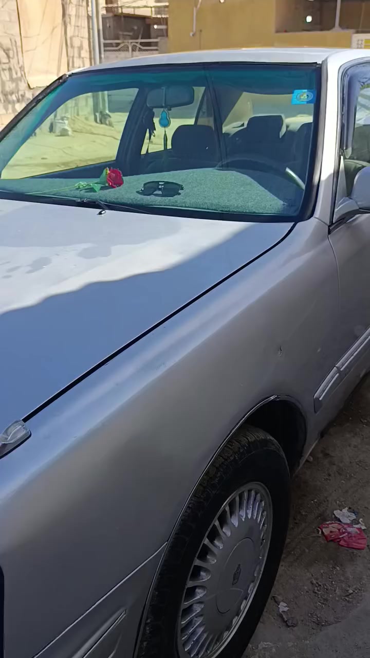 ابيع او راوس بملكه شاهين مكصوصه عادي/راس ثور تكم رقم نكليزي وبسمي انبار/باوع الصور والمقطع ياله تجي//سعره 75//***********
