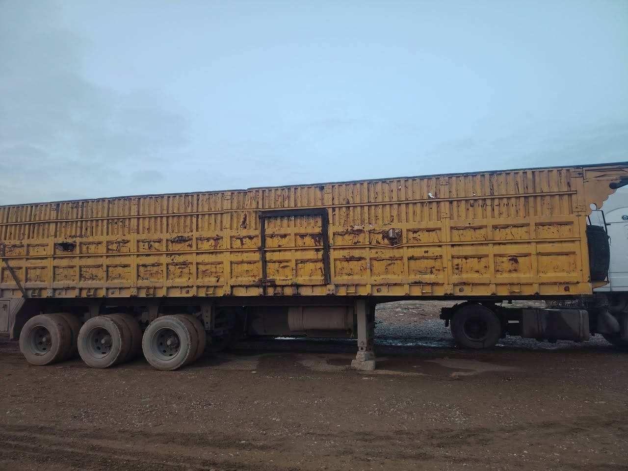 عربانه لل بيع سعر 65
تواصل الرقم ***********//***********
