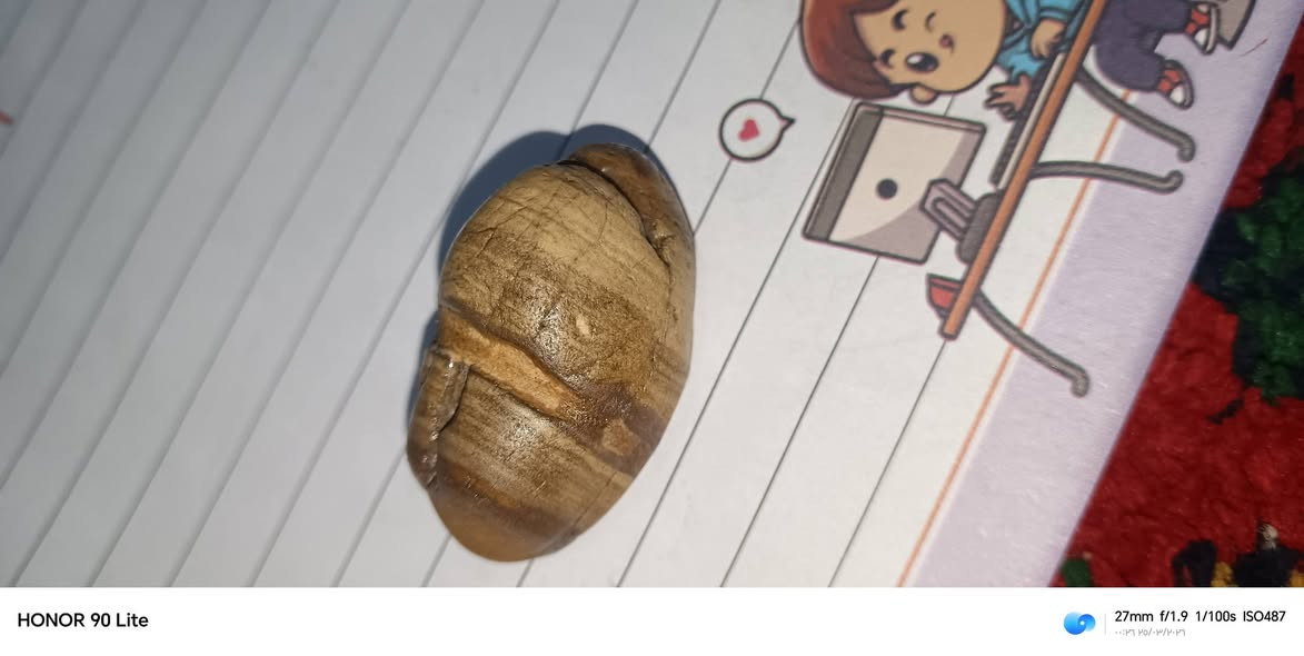 سلام عليكم


**إذا كنت صاحب هذا الإعلان وتريد حذفه لأي سبب، رجاءا أرسل رسالة إلى الدعم الفني**