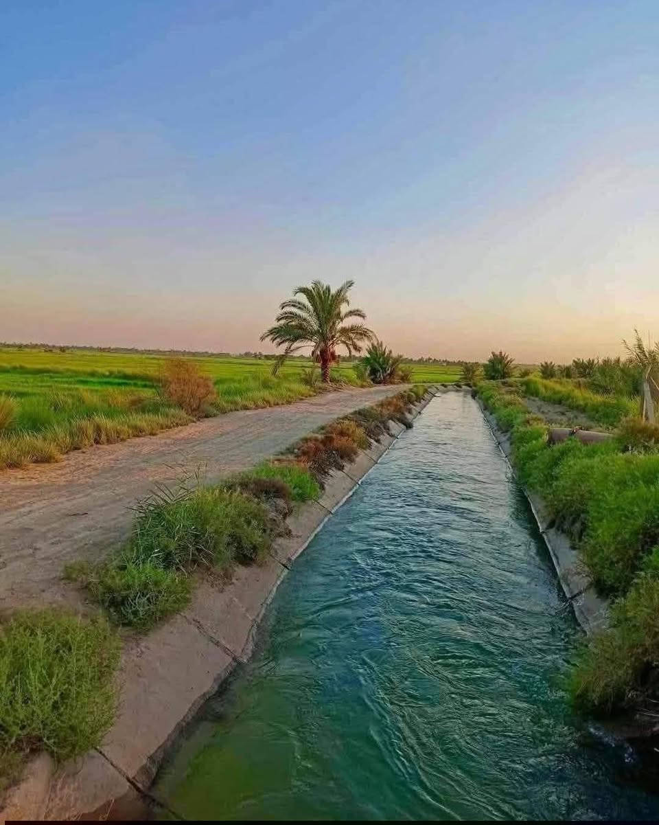 ليش لازم تشتري عقار بمنطقة الشيخ عامر يم  مرقد بنات الحسن وذراع دجله  💵🥇اول ميزه بيها عليها اكثر من مدخل🛣 (من جسر سبع البور ومن جسر الرعود ومن سريع التاجي سامراء )🏗🏡🥈ثاني ميزه والي هي مهمة  كلش (ظمان حق المشتري ما تدفع فلوسك لحد ما تفتح  بيان  بالتسجيل العقاري)على شارع تبليط🚦متوفر ماء وكهرباء وخدمات كاملة🛣تريد تسويها مزرعة او استثمار 💰(واجهة الدونم الواحد 50 متر مربع )الأسعار تبدأ من 7 مليون وتوصل  65 سعر الدونم الواحد حسب الموقع  للاستفسار اكثر /***********
