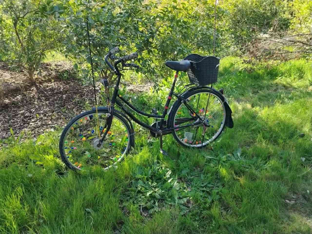 السلام عليكم ورحمة باسكل البيع حجم 26 رقم ***********
