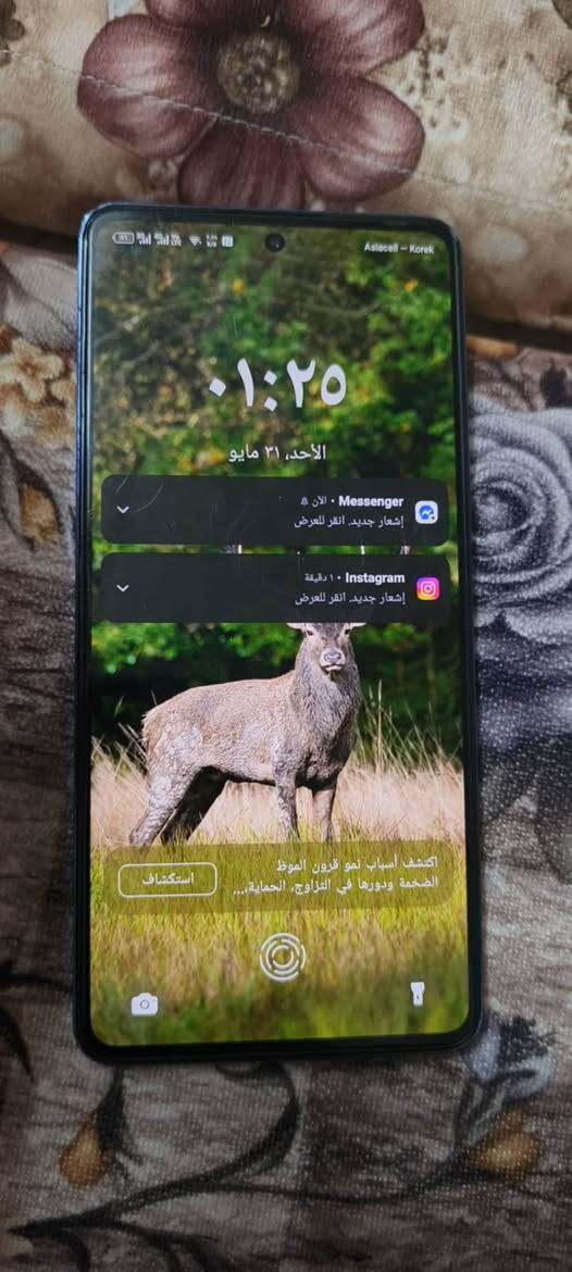 تكنو 20 كامون برو فايف جي جهاز شرط مامفتوح وشرط كامرات الخلفيه جام فوك بيها فطر وشرط واضح ومومفتوح ببجي 60فريم شاحنه سريع السعر 120ومجال قليل


**إذا كنت صاحب هذا الإعلان وتريد حذفه لأي سبب، رجاءا أرسل رسالة إلى الدعم الفني**