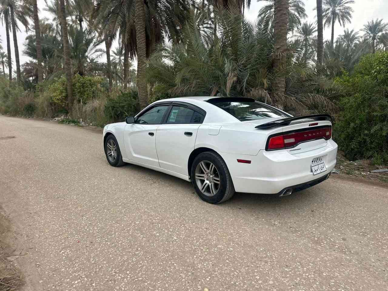 جارجر موديل 2014 مكينه وكير مكفلات رقم أربيل تحول مباشر وكاله مضمونه ورد أمريكي حادث جاملغ خلفي حجم المحرك 3600 ملاحضه السياره جاهزه من كلشي سعر 138 مجال بسيط مكان السياره
***********
