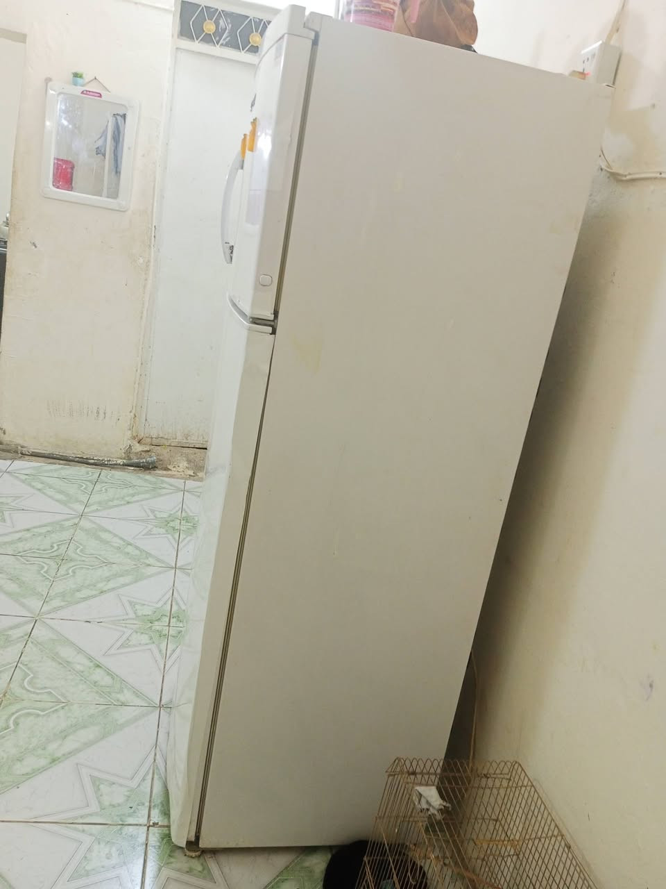 ثلاجه للبيع حجم وسط


**إذا كنت صاحب هذا الإعلان وتريد حذفه لأي سبب، رجاءا أرسل رسالة إلى الدعم الفني**
