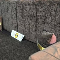 جلسة عربية • السماوة