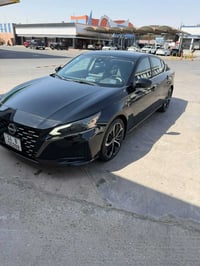 التيما 2024 • وارد أمريكي • كوت الحجاج
