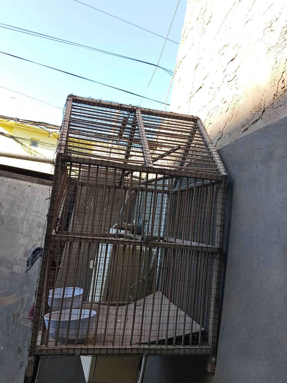 متاح اقفاص استعمال قليل سعر خاص ***********
