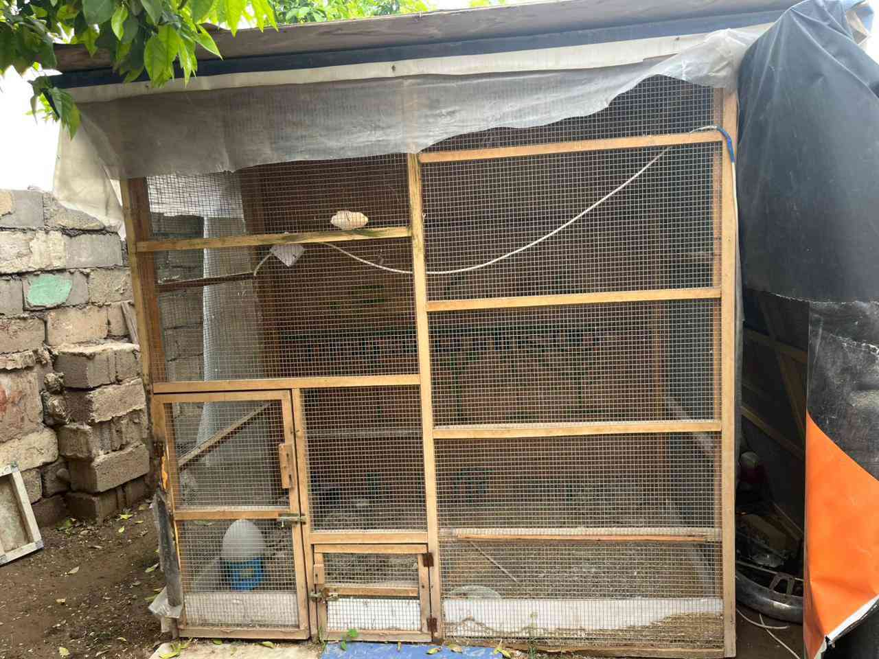 متاح للبيع قفص خشب الارتفاع مترين والعرض مترين والنزال متره وربع السيم درجه اولى والسقف بلاويده السعر ٢٠٠ وبي مجال العنوان بغداد ابو غريب ***********
***********
