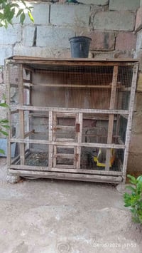 قفص للبيع السعر 20 الاسكان 07726802284
