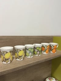 Argyle Bone China • بورسلين فاخر • ٦ أكواب