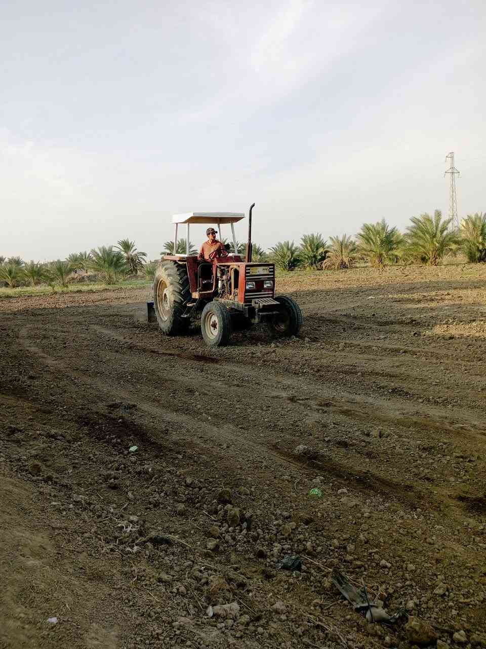 السلام عليكم افيات للبيع موديل 82رقم سنويه تحويل المكينه كفاله عامه كير محرك اكسل تخم تاير جديد لوك  ثكالات كامله لاخياس ولالحيم مكينه مصبوغه عام مكاني بابل الهاشميه ***********
