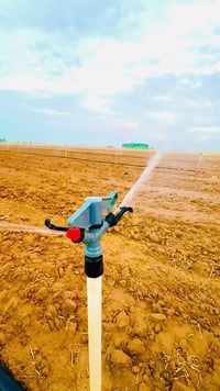 مرشة • ٢ دونم • موسم واحد