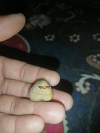 للبيع ٥٠ 07884222481