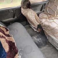 سياره هارتوب موديل 91 رقم ألماني سنويه 27 شرط التحويل محرك شرط كير كاي...