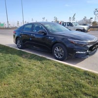 اوبتيما • ٢٠١٩ • رقم اربيل