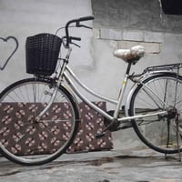 دراجة • للبيع • الفلوجة