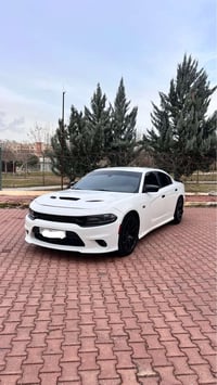 جارجر SXT • ٢٠١٩ • ورقه مجال