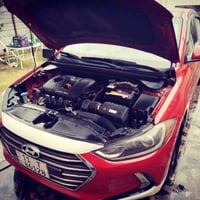 النترا ١٧ وارد كندي  فقط بنيد صبغ  ماشيه (١٠٠ كيلو)  فول الفول بريميوم...