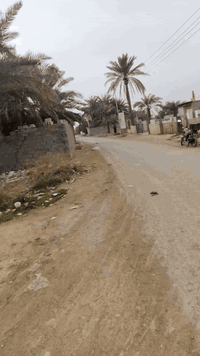 الكاع سند ٢٥
للاستفسار ***********
