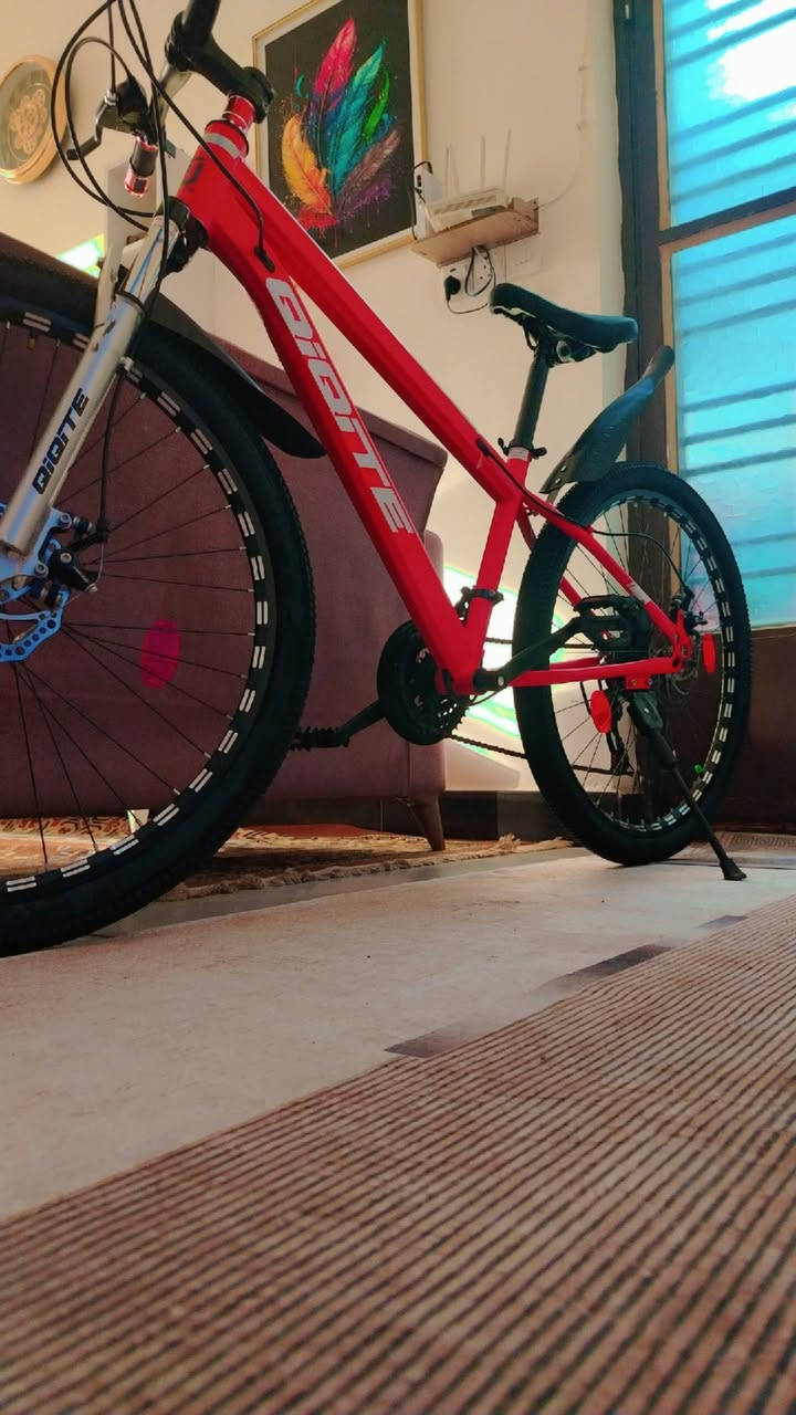 السلام عليكم بايسكل نوع صيني درجه اولى دبلات امامي نوع رياضي  ويل المنيوم بايسكل نوع جيد اسخدام اسبوع جديد السعر 100عنوان بغداد دوره ***********
